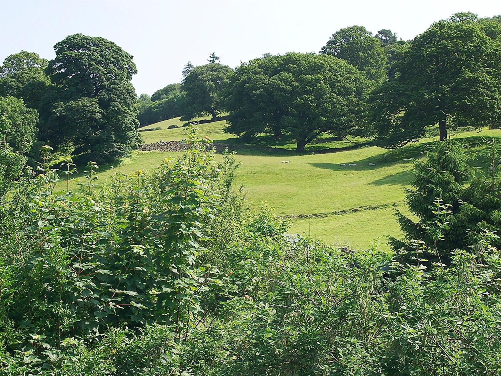 Howarth Cottage Troutbeck Bridge المظهر الخارجي الصورة